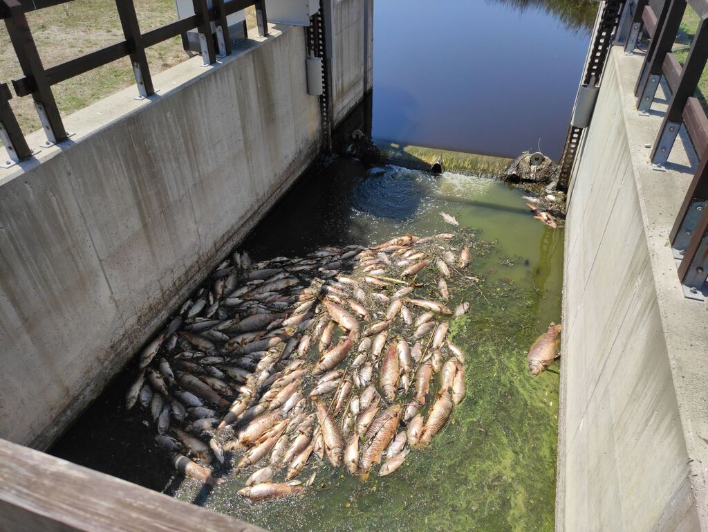 Vízminőség galéria