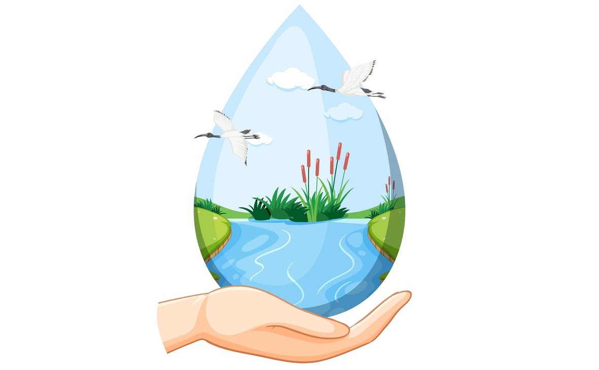 VGT az Igazgatóságon